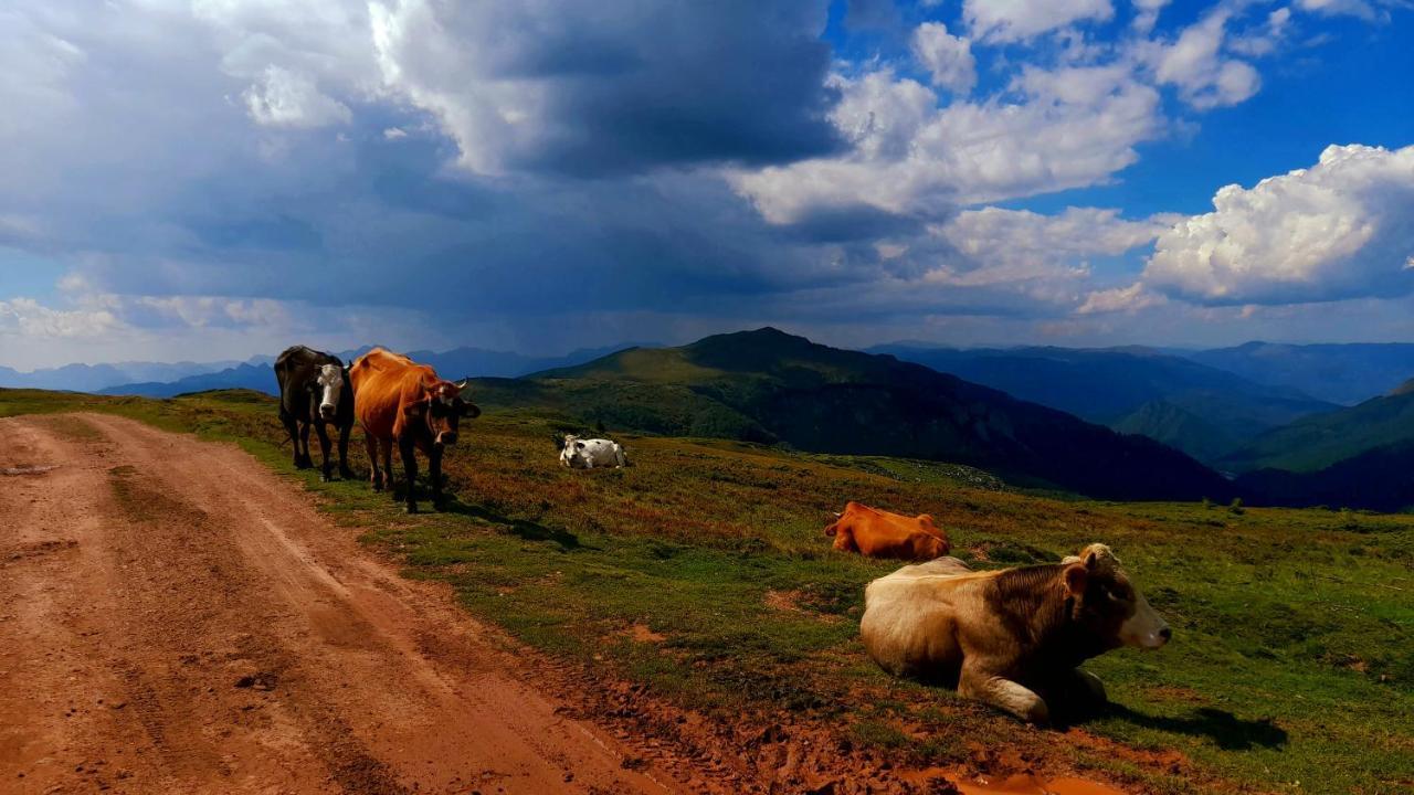 مويكوفاتش Etno Village Coric المظهر الخارجي الصورة