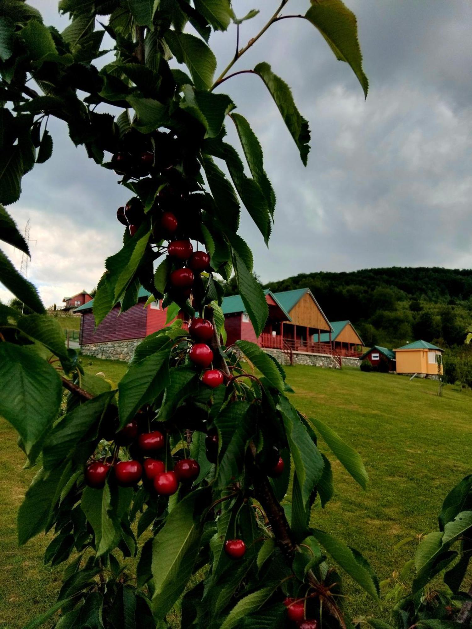 مويكوفاتش Etno Village Coric المظهر الخارجي الصورة