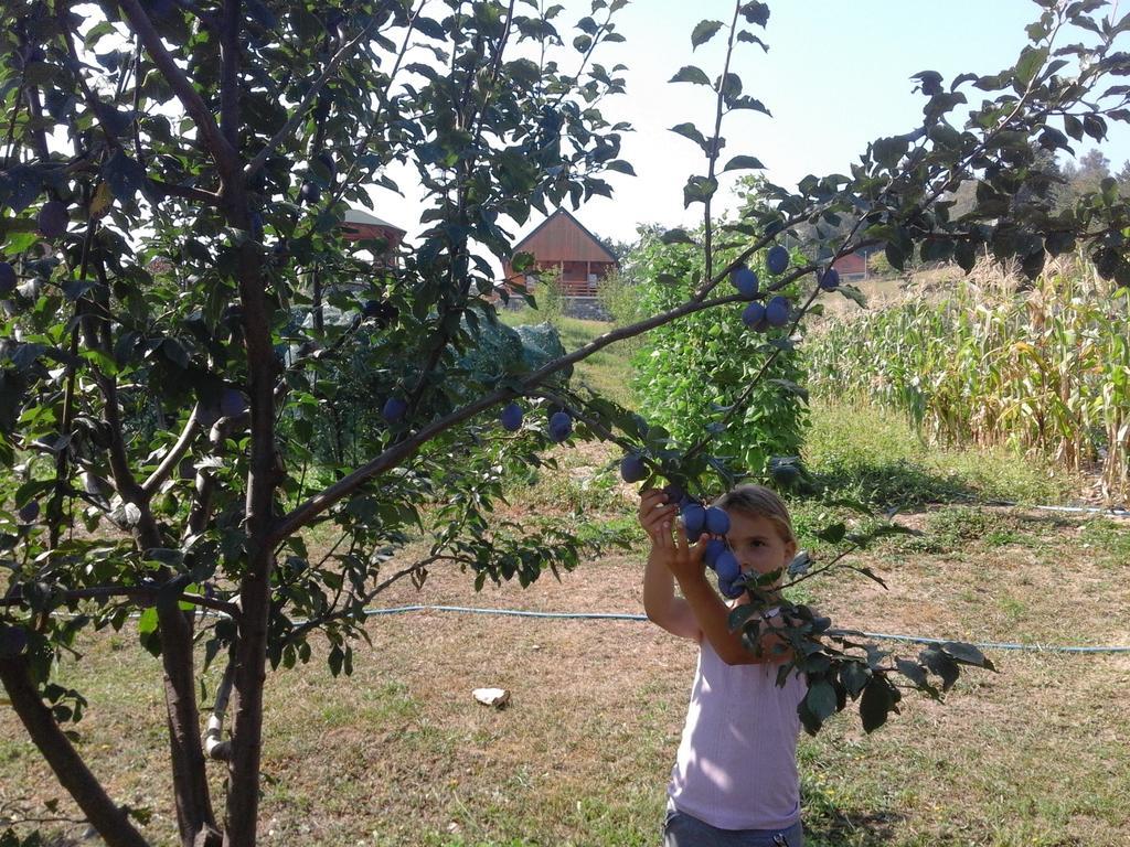 مويكوفاتش Etno Village Coric المظهر الخارجي الصورة